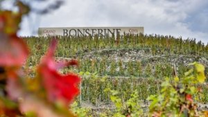 Domaine de Bonserine Côte Brune