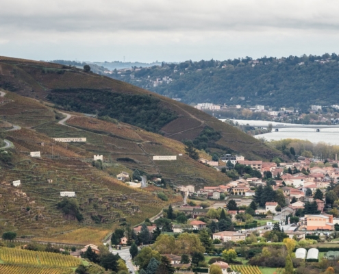 Domaine de Bonserine Le vignoble de Côte-Rôtie et le Village d’Ampuis
