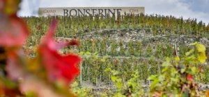 Domaine de Bonserine SLIDE 02