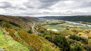 Domaine de Bonserine le vignoble et Ampuis vue de Tupin